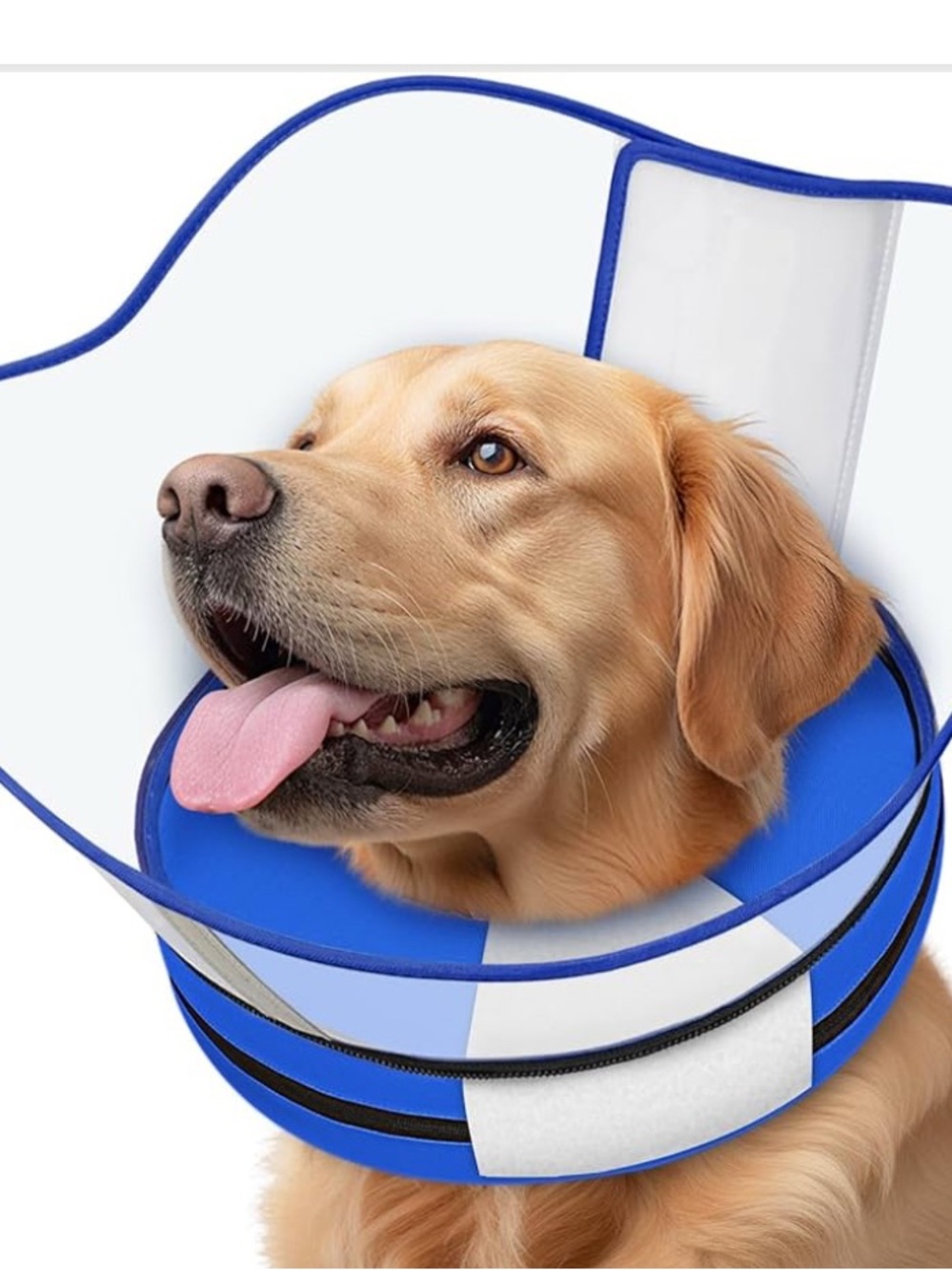 SuPet Blue Soft Recovery Cone for Dogs - Comfortable Pet